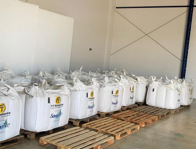 Vantagens em armazenar Sementes na Câmera Refrigeradora